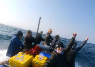 South Africa - Mdumbi - 🇿🇦 South African Sardine Run Expedition - 1 Week INSIDE a Nature Documentary 🐬 - 21