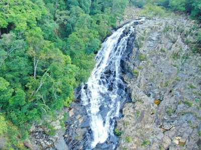 Australien - Bump Track - 🌴🪸 Daintree to Great Barrier Reef: A Co-Working Retreat in Port Douglas, Australia 🐠🇦🇺 - 2