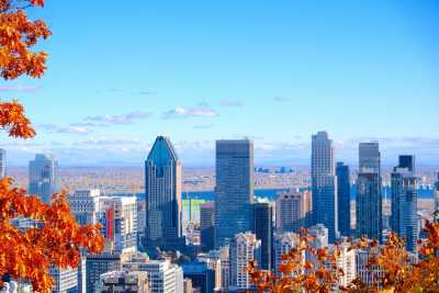 Canada - Mount Royal - Ultimate Montreal Summer Experience 🇨🇦 | City, Nature & Local Life – Hosted Downtown + Airport Pickup! - 3