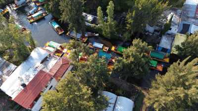 Mexico - Plaza de la Constitución - Full of Positive Energy in Mexico City, Tepoztlan, Oaxaca Beach (Chacahua-Zipolite) - 2