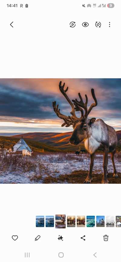 Mongolei - Renchinlkhumbe - Mongolia Winter expedition: Meet the reindeer herders of the Taiga and visit the frozen Khuvsgul lake - 3