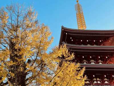 Japan - Tokyo - 🍂 Fall in Love with Japan: Experience the Local Culture in Kanazawa and Tokyo, Hike at the Karasawa Cirque! - 1