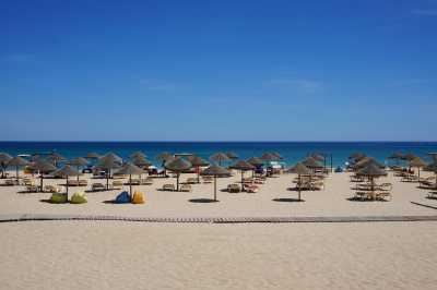Portugal - Lagos - Portugal Workation: Work, Walk, Talk & Enjoy the Algarve ☀️ - 1