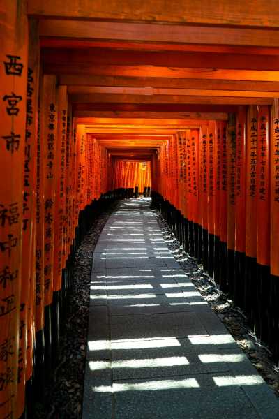 Japan - Fushimi Inari Taisha - 🍜 The Golden Route Reimagined: 14 Nights Through Osaka, Kyoto, Hikone & Tokyo 🎎 (PRIVATE ROOMS)