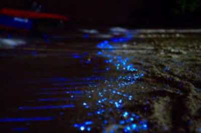 Malaysia - Kuala Selangor - Explore Amazing Kuala Lumpur, Malaysia with a Local and Travel Photographer - 9