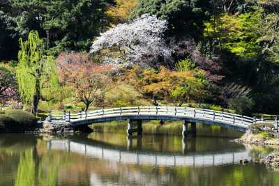 Japan - Minowa - 🍜 The Golden Route Reimagined: 14 Nights Through Osaka, Kyoto, Hikone & Tokyo 🎎 (PRIVATE ROOMS)