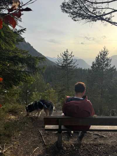 Austria - Tiroler Zugspitz Arena - Snow Trip to Austria with My Huskies 🐾❄️ Winter Hikes | Skiing | Tobogganing - 4