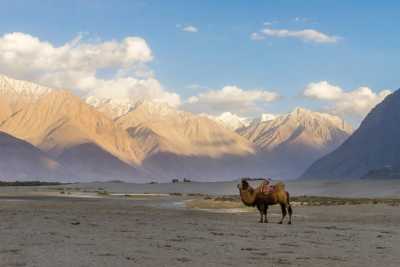 India - Nubra Valley - Mystical Ladakh - A Yoga and Meditation Retreat Exploring India's Himalayas - 2