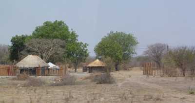 Subsahara-Afrika - Planet Baobab - Namibia, Botswana, and Zimbabwe Safari trough Africa