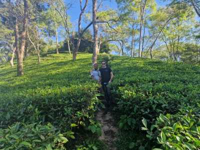 Bangladesch - Sreemangal - Bangladesh Adventure – Between Rivers, Tea Hills & Ancient Cities - 1