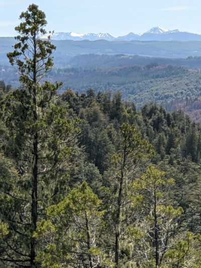 Argentina - El Bolsón - Hands-On Patagonia Adventure: Off-Grid Living, Hiking & Skill-Building - 3