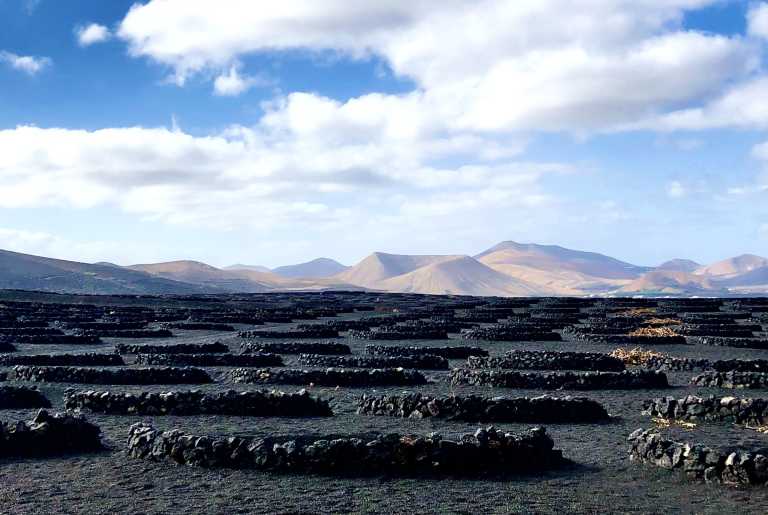 Guendalina Mantovani - 3