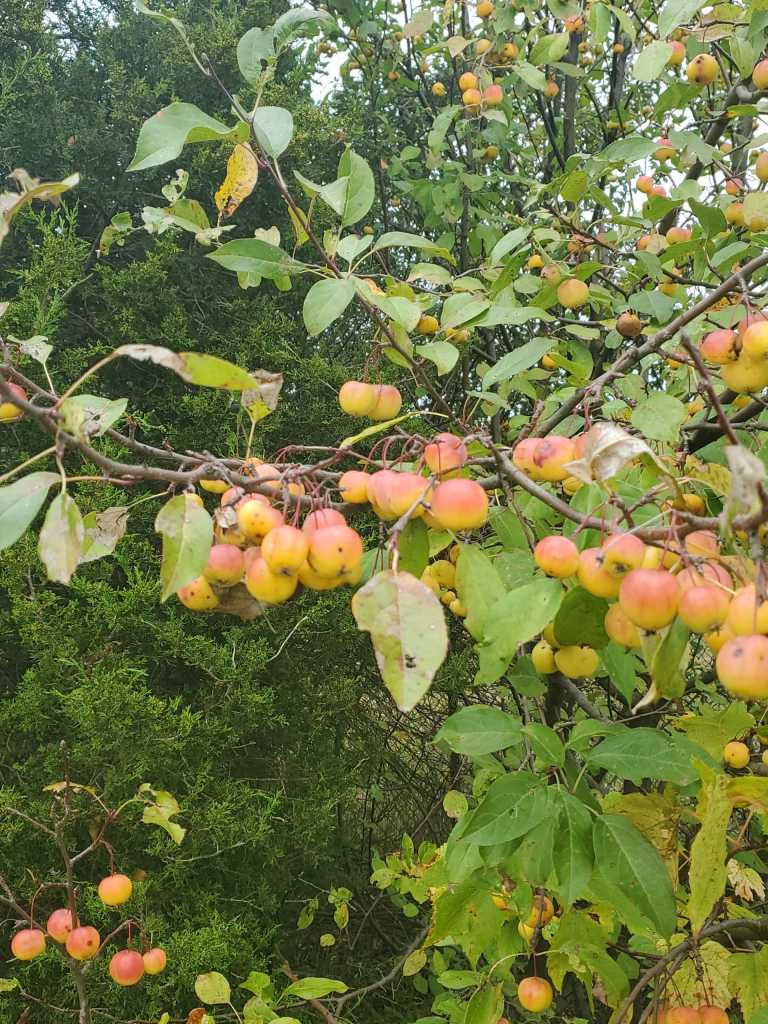 Kelsey  Richardson  - 4