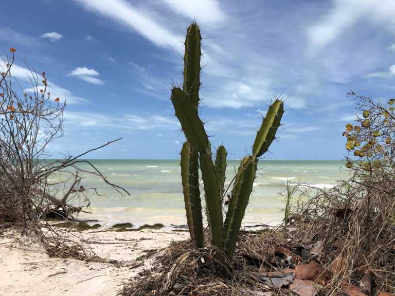 Francisco Jiménez Luna - 21