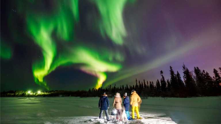 Norway - Tromsø - 2026 Tromsø Winter Expedition: Ice Floating in Arctic Lakes 🧊 Whale Spotting 🐋 Reindeers & Huskies 🦌🛷 Northern Lights 🌌✨ Fjords 🏔️ - 2