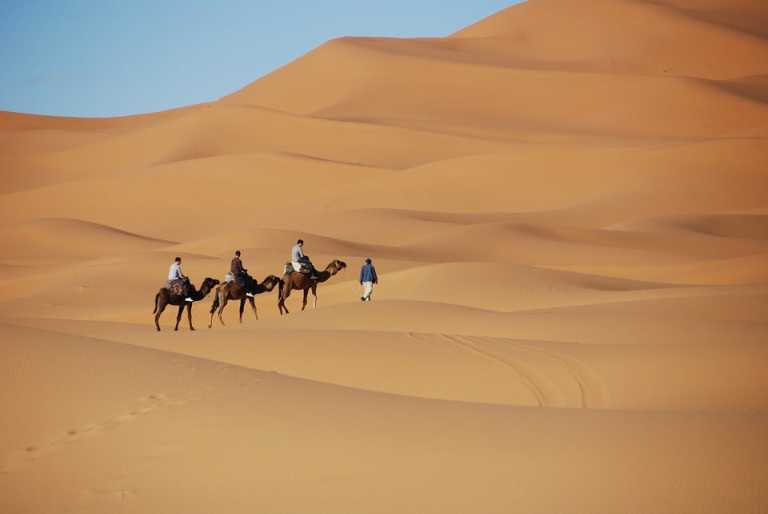 Morocco - Merzouga - 🌵 MOROCCO OCTOBER 2026: MARRAKECH & THE SAHARA DESERT 🐫 - 1