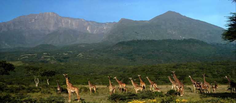 Tanzania - Arusha National Park - Tanzania Big Five Safari & Wildlife Photography Expedition | Serengeti & Ngorongoro - 1
