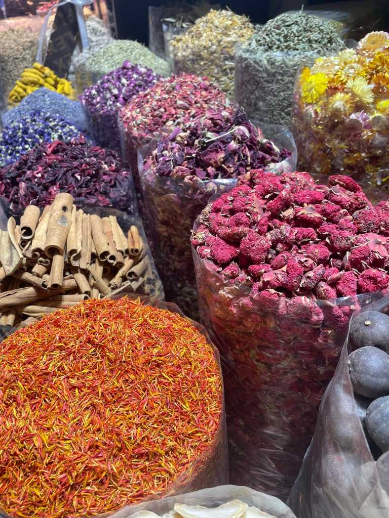 Paolina Makaveeva - 11