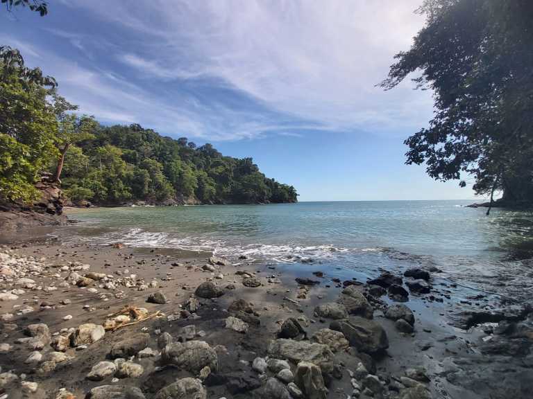 Mónica Latorre Saavedra - 9