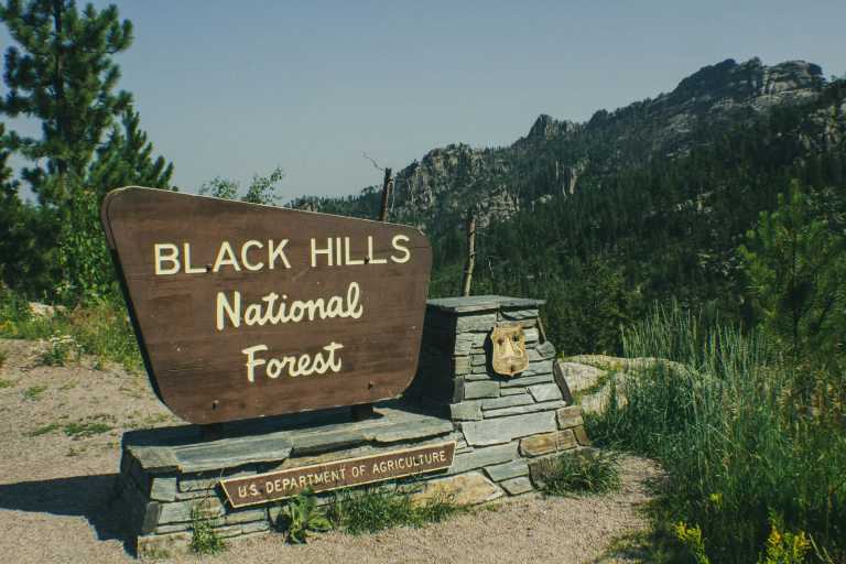 Vereinigte Staaten - Explore Black Hills, South Dakota: Hiking, Wildlife, History & Scenic Trails! - JoinMyTrip