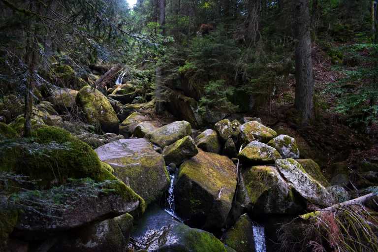 Orestis Giannakoulis - 3