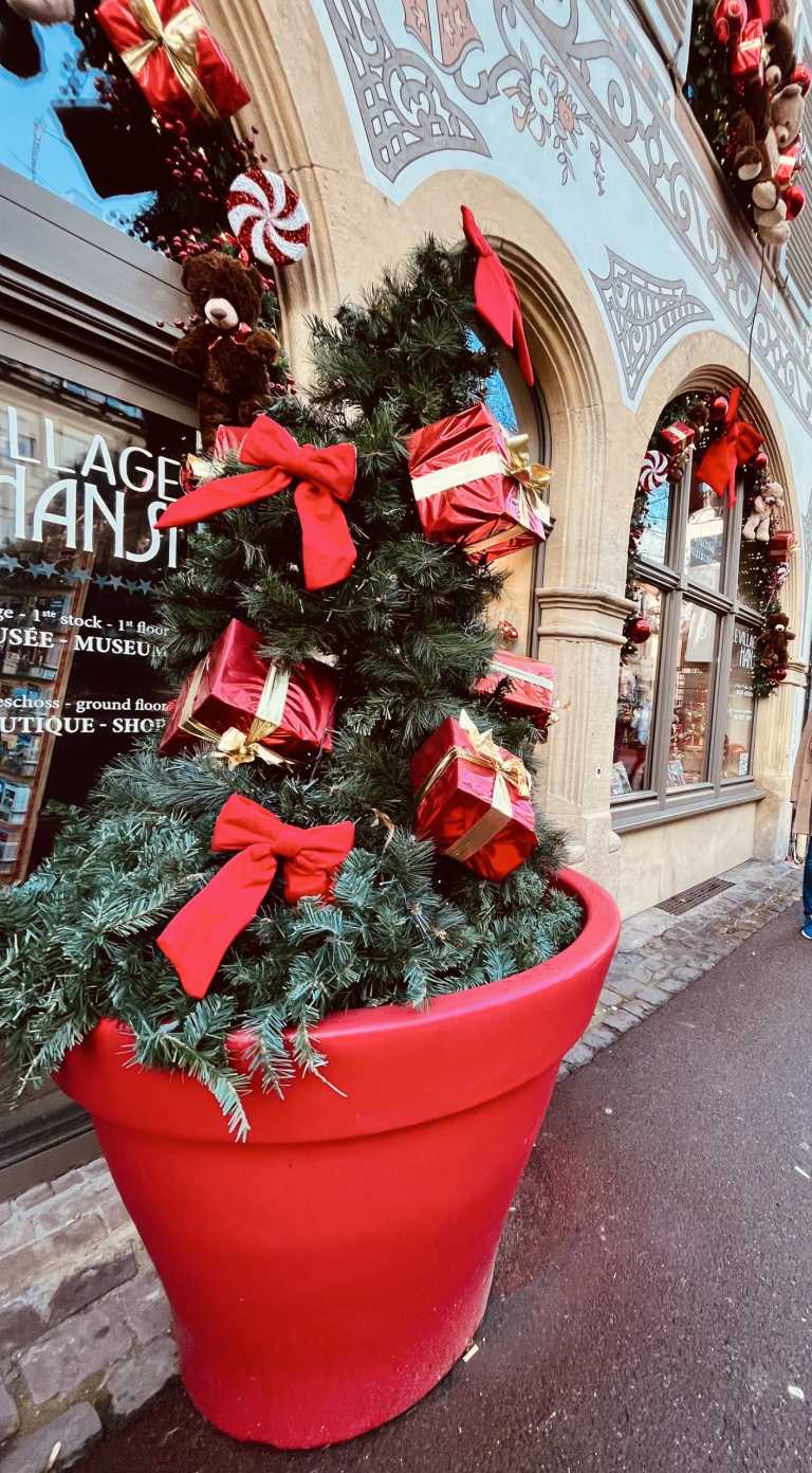 Westeuropa - Fancy & Healthy 3 Christmas Markets in Switzerland and France 🎄✨ - JoinMyTrip