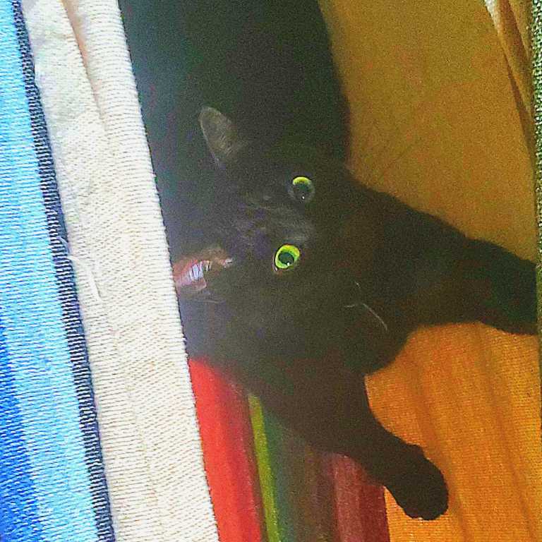 Kelsey  Richardson  - 1