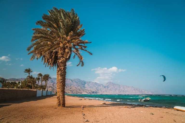 Egypt - CoWorking and Wellbeing trip at Red Sea,  Dahab - art, yoga & skill sharing - JoinMyTrip