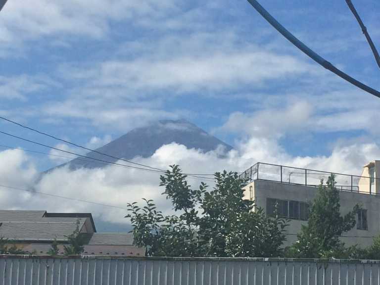 Thalita Rodrigues - 17