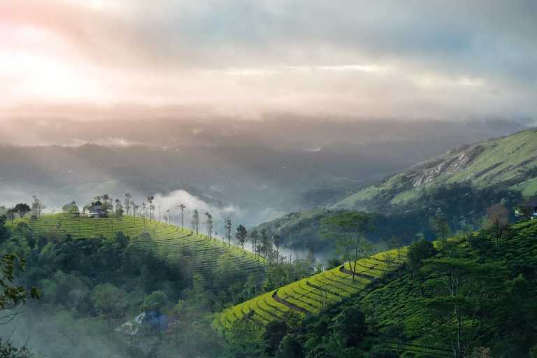 India - India, Kerala: Enjoy Beaches and Mountain Escapes in One Package - JoinMyTrip