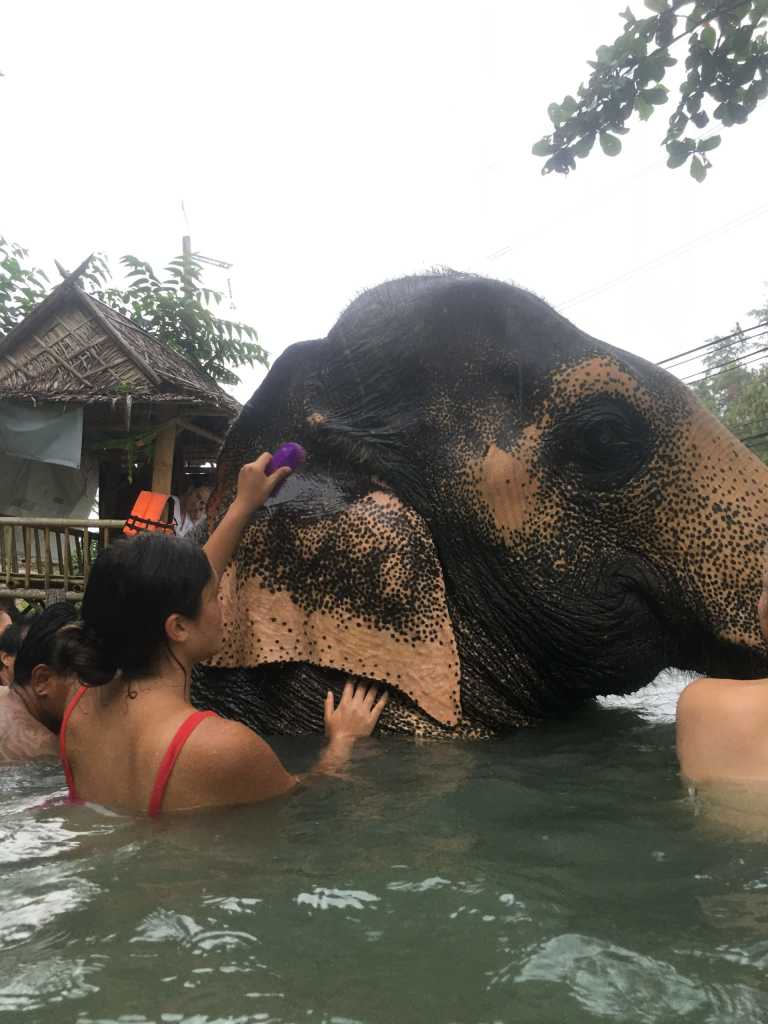 Jacqueline Croft-Malcolm - 2