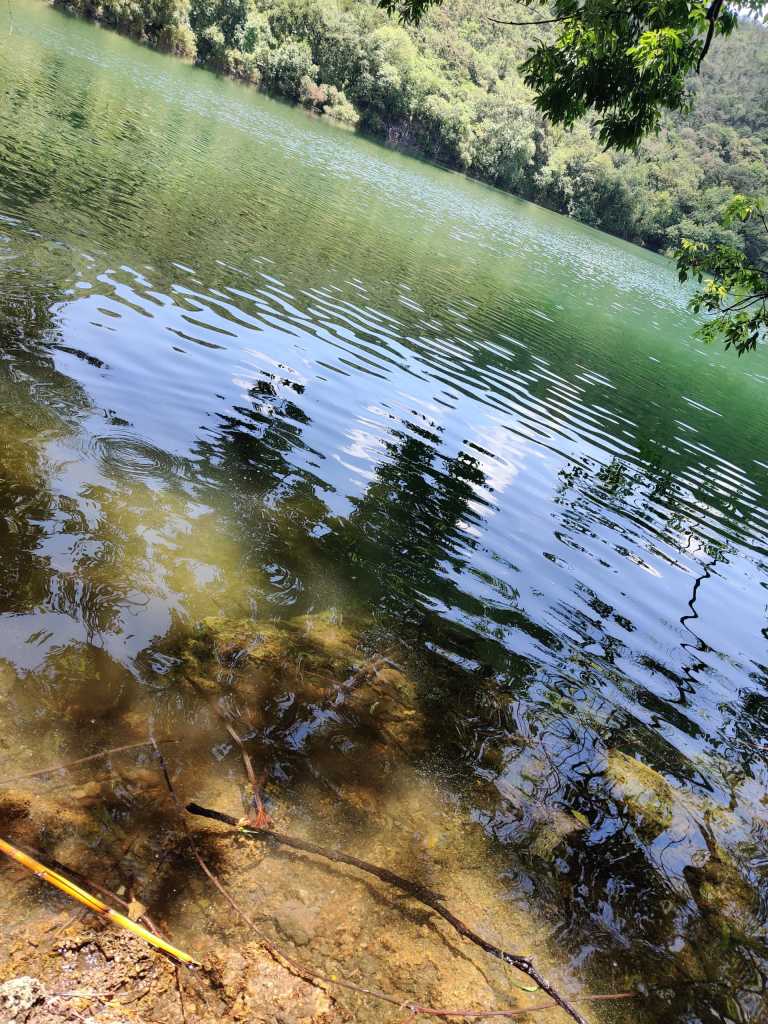 Fernando Guerrero - 14