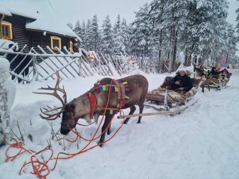 Finnland - Finnland: Von Helsinki bis Rovaniemi - Nordlichter, Husky Tour, Santa Claus & Polar Express - JoinMyTrip