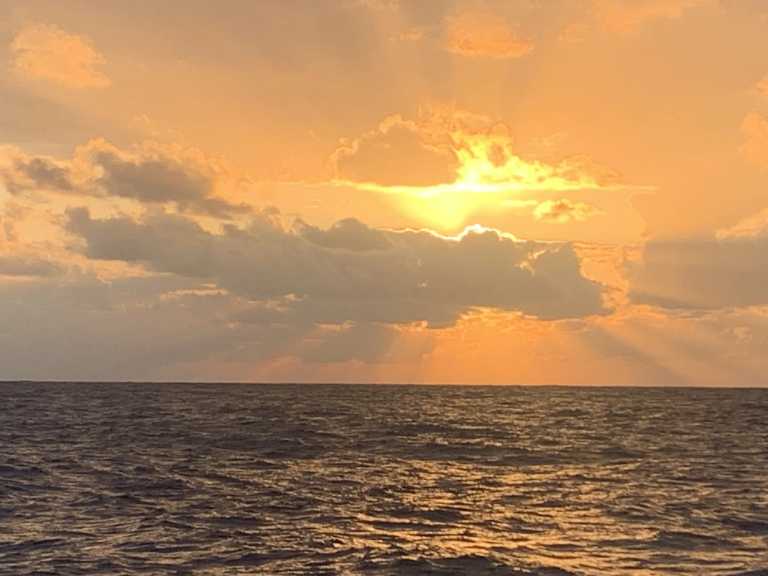 Timothy Sussmann - 3