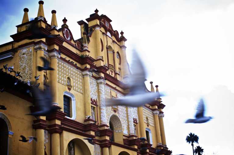 Guendalina Mantovani - 14