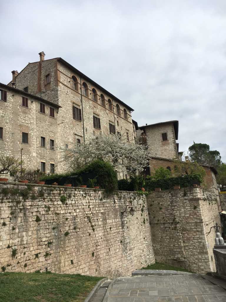 caterina de marca - 0