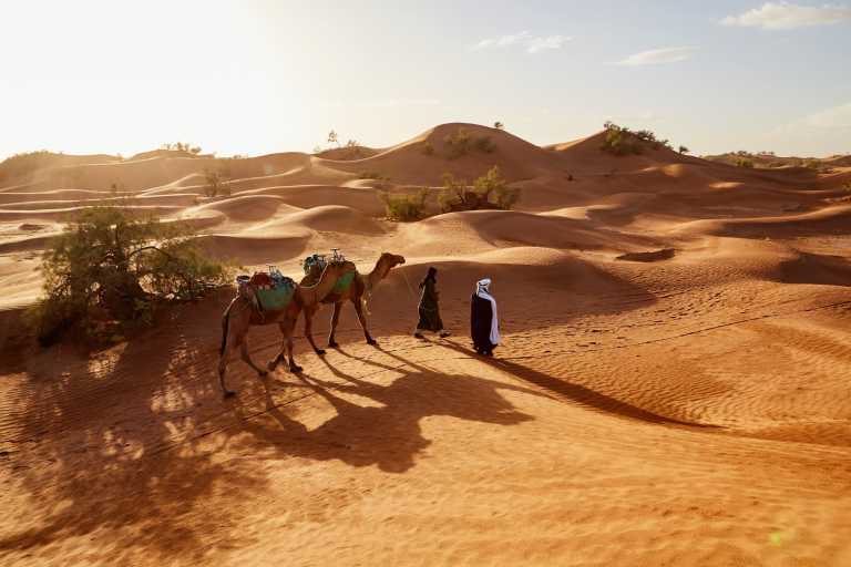 Marokko - 🐫 Explore the Sahara Desert, Morocco in 3 Days Trip - JoinMyTrip