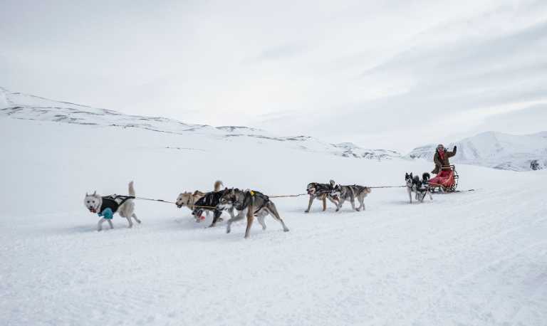 Northern Europe - Spitzbergen Arctic Expedition, Tromsø and Faroe Islands - Combined Tour - JoinMyTrip