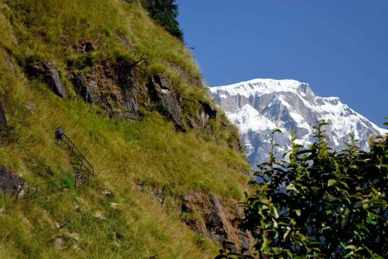 Susheel Manandhar - 1