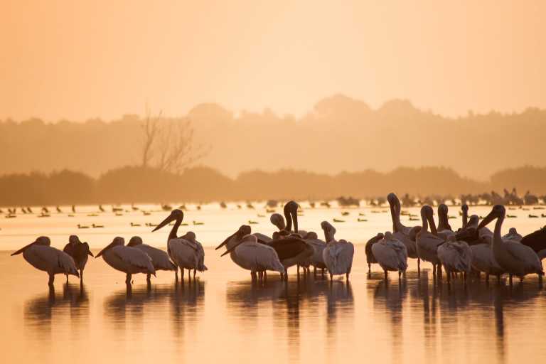 Romania - Adventure in Danube Delta, Romania 🇷🇴 Traditions and Wilderness! - JoinMyTrip