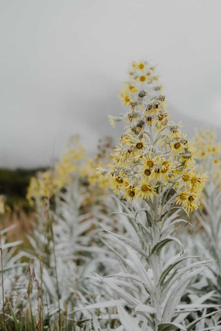 Sara Gaviria Villa - 19