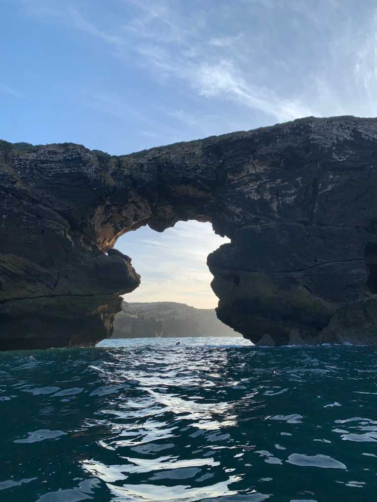 Timothy Sussmann - 2