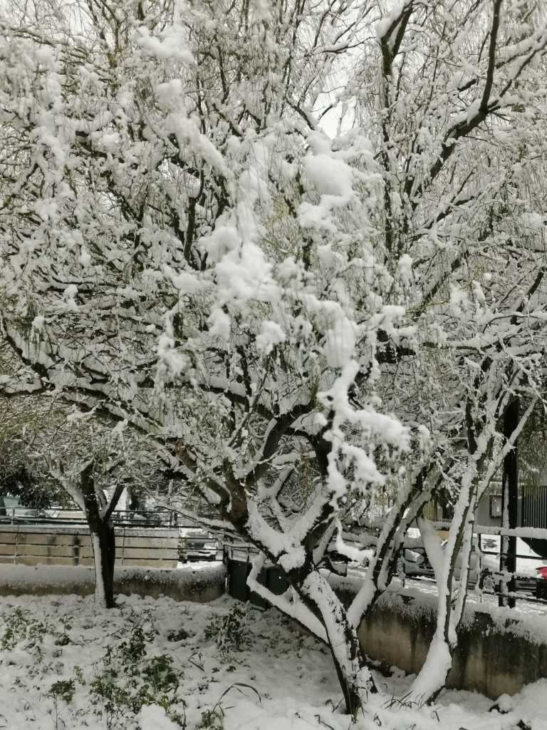 Marina Stasinopoulou - 0