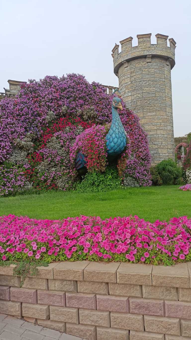 A A Ayu Oka Mirah Wahyuni - 1