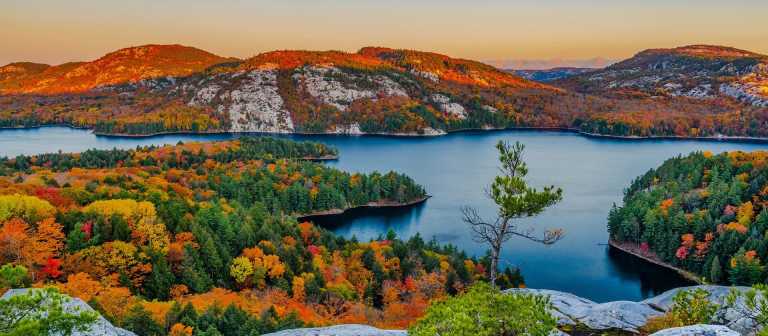 Canada - ✨ 🌲Boost Your Adrenaline and Immerse Yourself in Canada's Nature Wonders! 🌲✨ - JoinMyTrip
