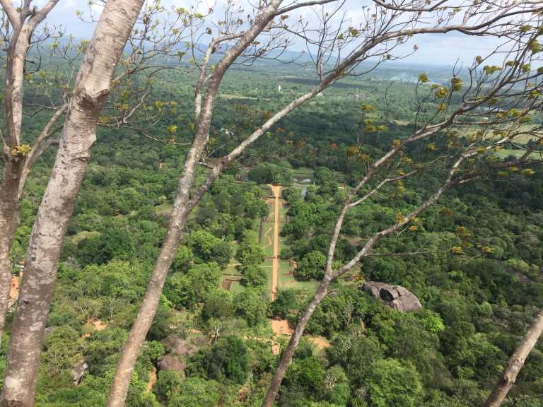 Madhawa Karalliyadda - 11