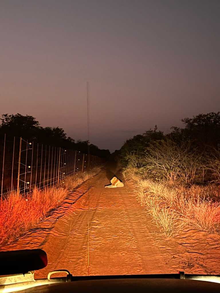 Jessica Brühwiler - 3