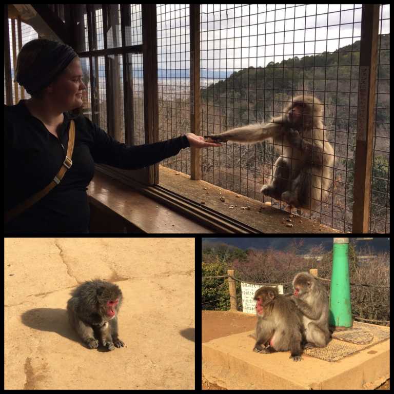 Alanna Andersen - 36