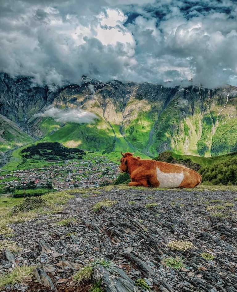 Natasha Gogiashvili - 1