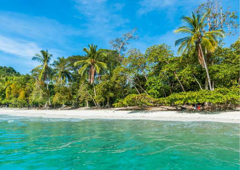 2 weeks in Costa Rica Volunteering, Nature, Wildlife, Beach and Surfing Travel Costa Rica in